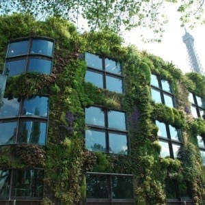 Citizensourcing in Paris: vertical gardens